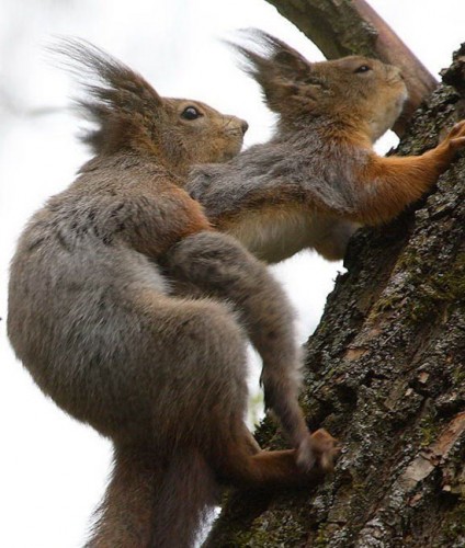 Butt lovin.jpg (91 KB)